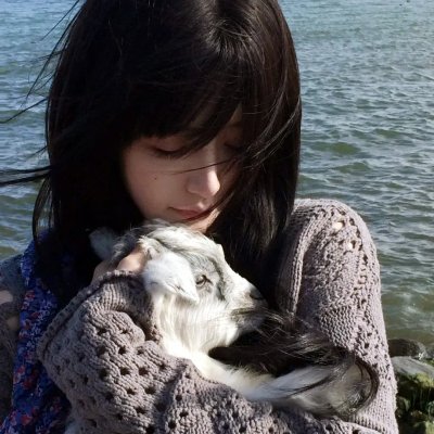 历险小恐龙4海报